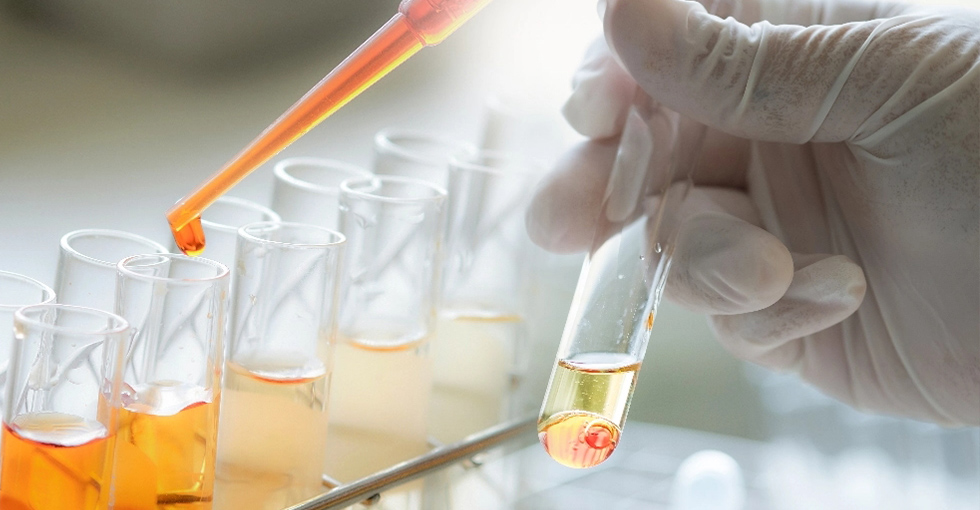 Lorem ipsum dolor sit